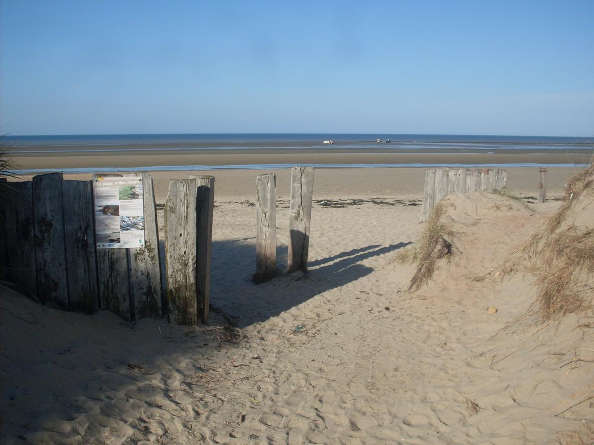 Utah Beach Bed & Breakfast แซงต์-มารีย์-ดู-มองต์ ภายนอก รูปภาพ